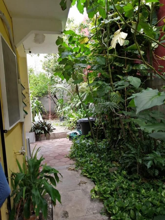 Gaviota Daire Playa del Carmen Dış mekan fotoğraf